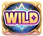 สัญลักษณ์ Wild