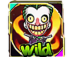 สัญลักษณ์ Wild