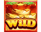 สัญลักษณ์ Wild