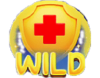 สัญลักษณ์ Wild