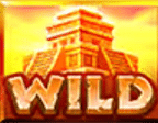 สัญลักษณ์ Wild