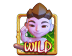 สัญลักษณ์ Wild