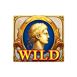 สัญลักษณ์ Wild